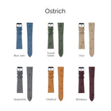 Design Your Own Custom Watch Strap-Ostrich