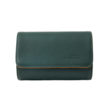 green watch travel case